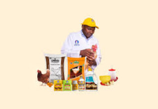 The Environmental Initiatives of Kenchic Kenya
