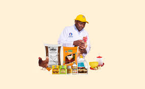The Environmental Initiatives of Kenchic Kenya